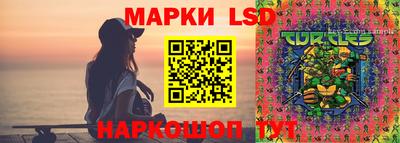 винт Шелехов