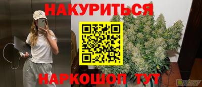 винт Шелехов