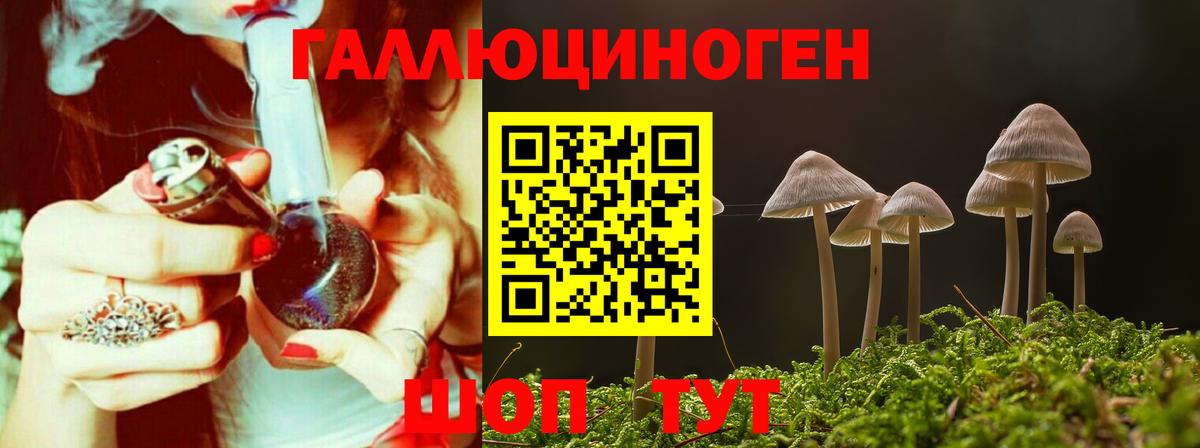 Псилоцибиновые грибы Psilocybe Тамбов